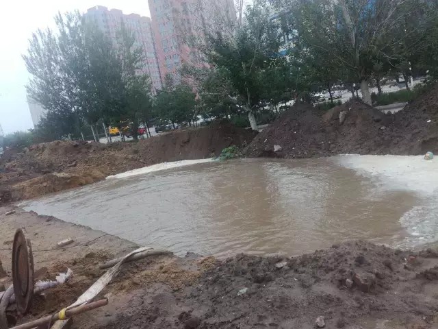 1501726437677547.jpg 1.jpg